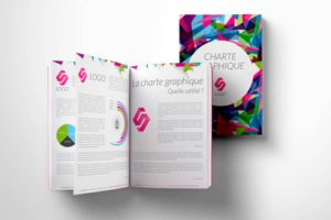 CRÉATION CHARTE GRAPHIQUE